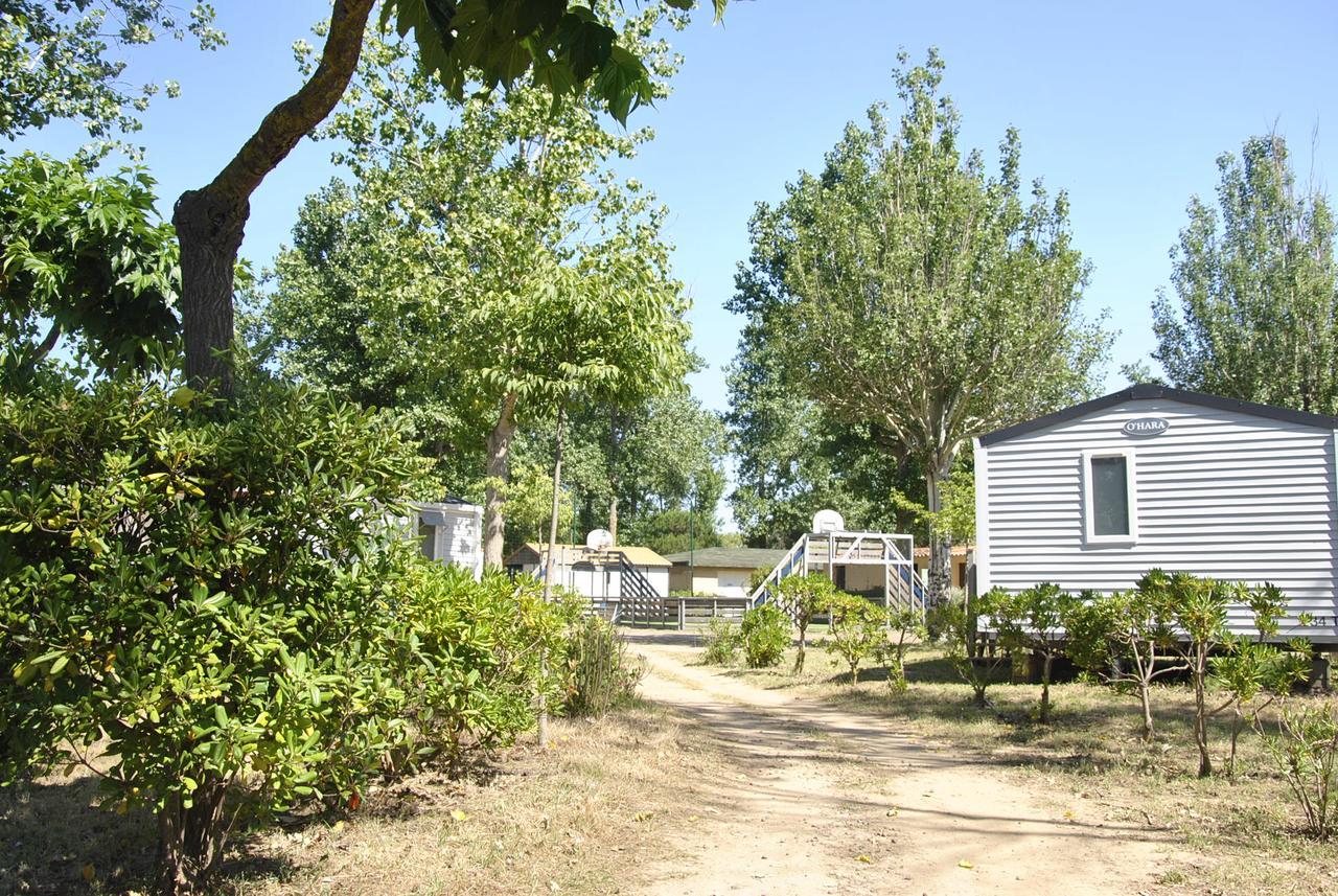 Camping La Dune Vias Eksteriør billede